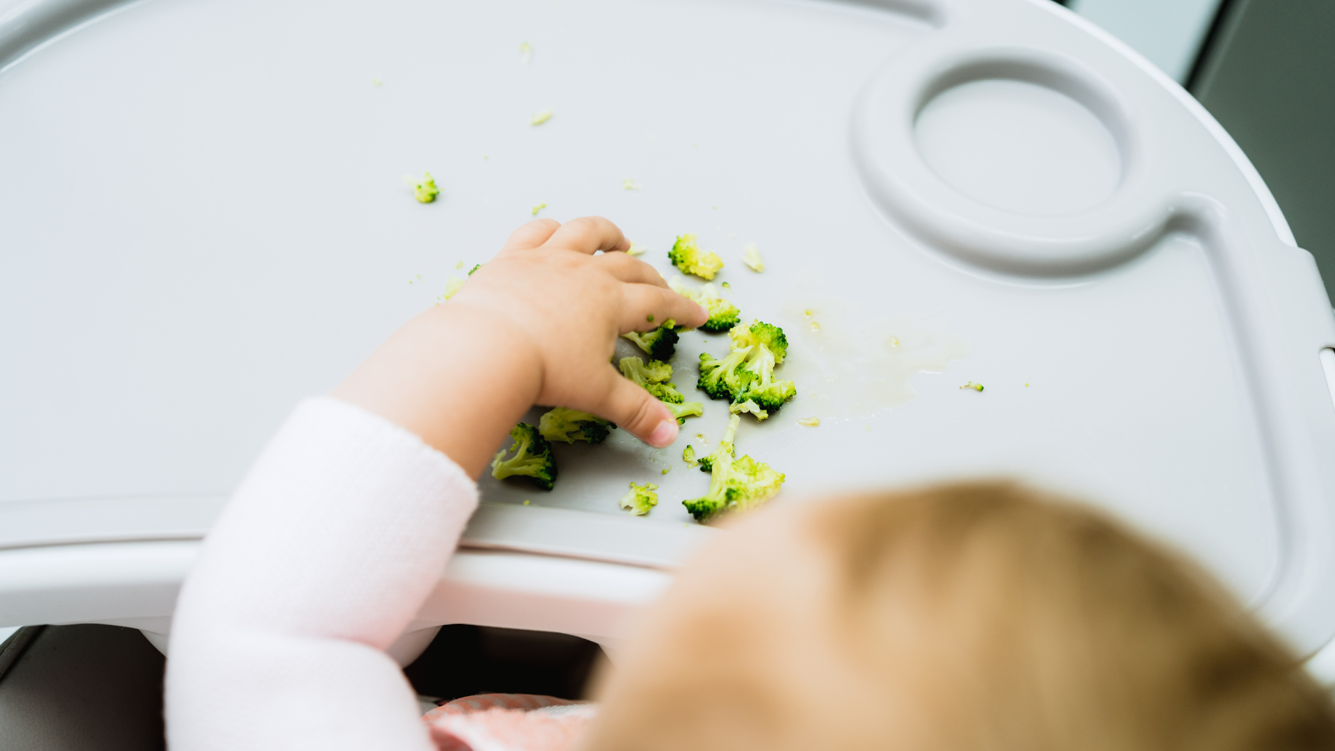 requisitos método blw